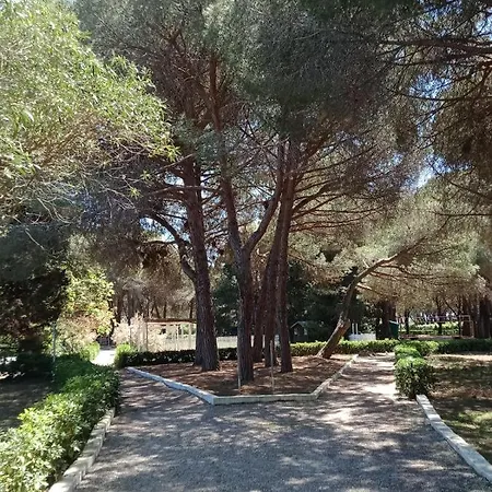 Th Resort